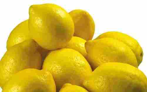 Fresh Citrus Valencia Lemons