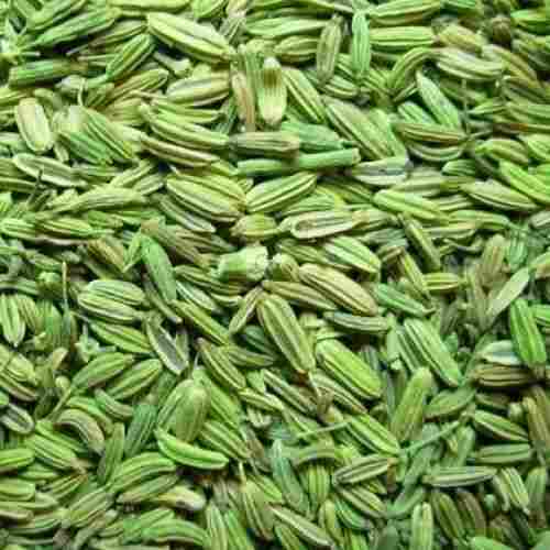 Fresh Clean And Big Size Sorted Pure Harvested And Field Indian Organic Sweet Whole Fennel Seed Spice