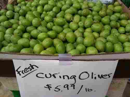 Natural Fresh Olives Fruit