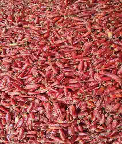 Sun Dried Bullet Red Chilli Flakes