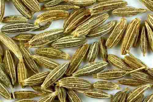 Dried Natural Cumin Seed