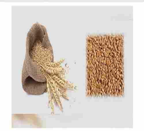 Natural Taste and Healthy Wheat Seeds