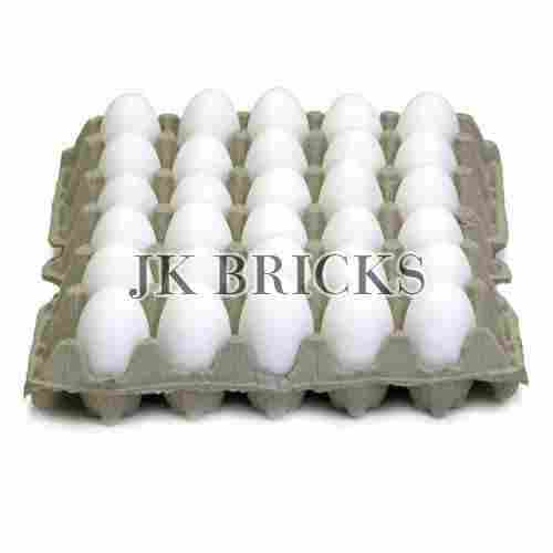 Best Quality White Poultry Eggs