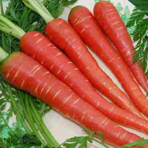 Vitamin C 9% Calcium 3% Iron 1% Dietary Fiber 11% Natural Healthy Organic Red Fresh Carrot