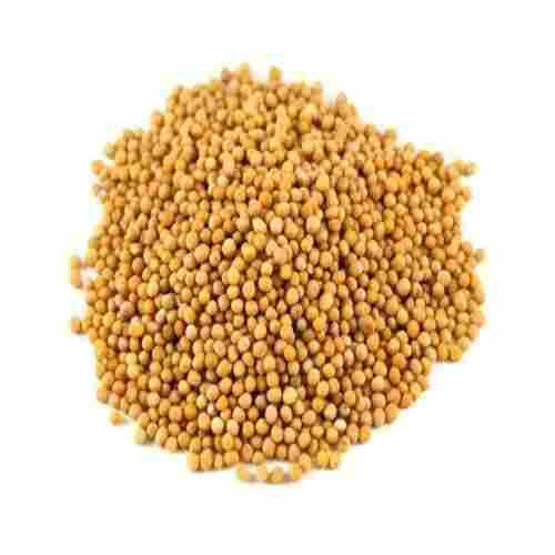 Super Quality And Filled With Natural Oil Indian Organic Yellow Mustard Seeds