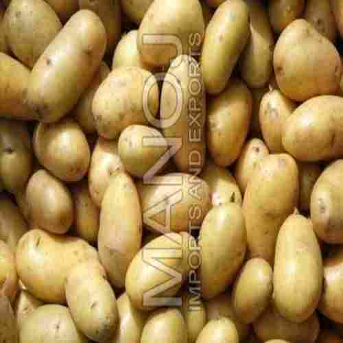 Eco-Friendly Floury Texture Natural Taste Healthy Brown Fresh Potato