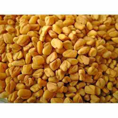 Purity Proof Bold Size Attentively Sorted Indian Organic Yellow Whole Fenugreek Seed