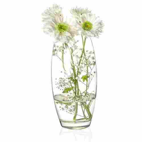 DECENT GLASS Glass Round Floral Vase (12 X 5.5 Inch, Clear)