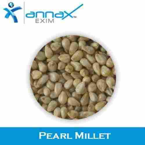 Hygienically Packed Long Shelf Life Natural Taste Healthy Pearl Millet Seeds