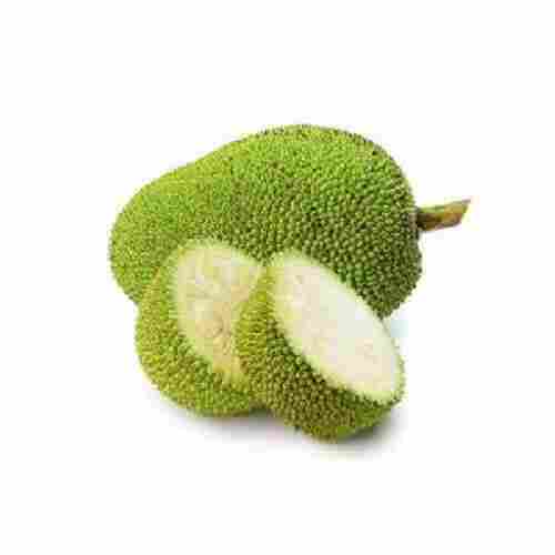 Natural Fresh Jackfruit for Cooking
