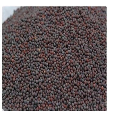 Organic Super Sorted Premium Quality A Grade Black Mustard Seed Loaded With Antioxidant 