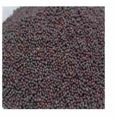 Super Sorted Premium Quality A Grade Black Mustard Seed Loaded With Antioxidant 