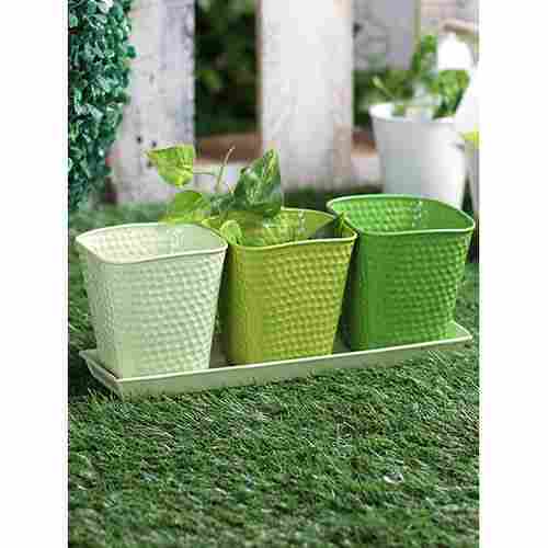 Set of three Herb Pots Green