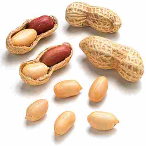 Protein 26g 52% Total Fat 49g 75% Fine Natural Taste Healthy Groundnut Kernels