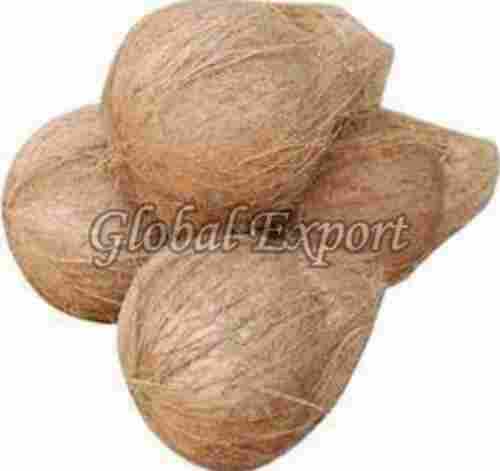 Natural Brown Semi Husked Coconut
