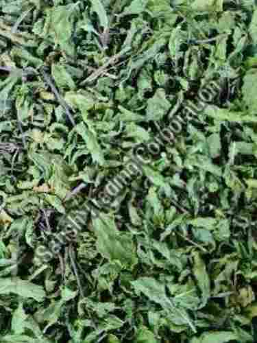 Natural Green Dehydrated Mint Leaves 