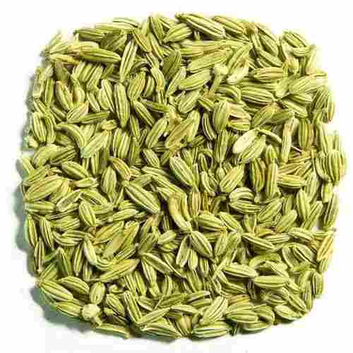 Long Shelf Life Rich Taste Healthy Natural Green Fennel Seeds