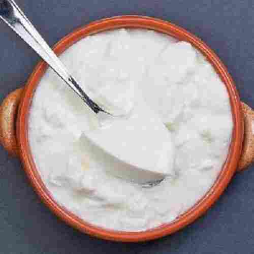 Natural Fresh Delicious Curd