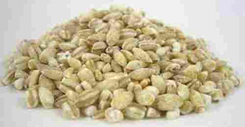 Organic Barley Seeds for Cooking