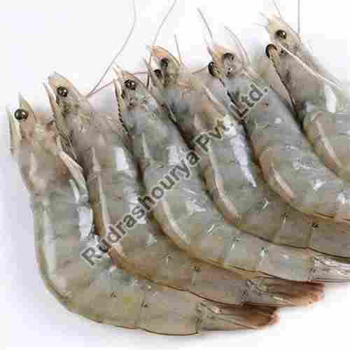 Frozen Vannamei Prawns for Cooking