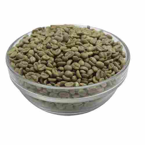 Possessing Pure Chlorogenic Acid And Rich In Antioxidant Green Coffee Beans