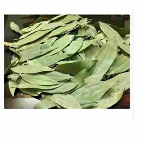Delicious Pure Taste A Grade With Natural Fragrance Organic Greenish Whole Bay Leaf