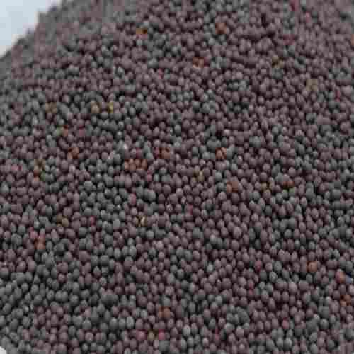 Rich With Earthly Minerals Loaded With Antioxidant A Grade Black Mustard Seed 