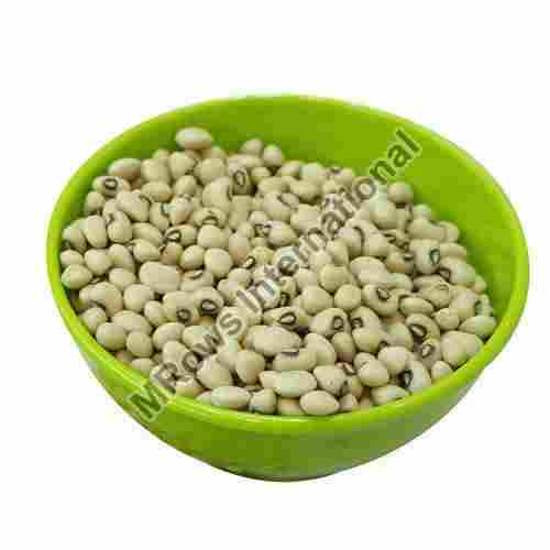 Full Of Proteins Dried Natural Healthy White Kidney Beans