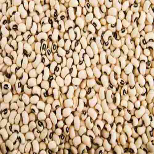 Energy 115.7 Calories Protein 7.73g Iron 2.51mg Natural Taste Healthy Dried Black Eyed Peas