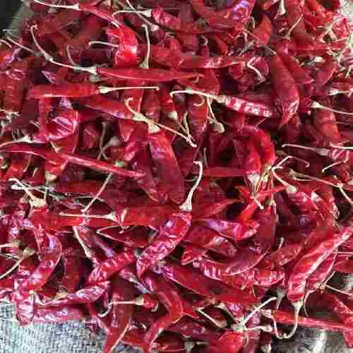 Hot Spicy Natural Taste Rich in Color Healthy Dried Red Chilli