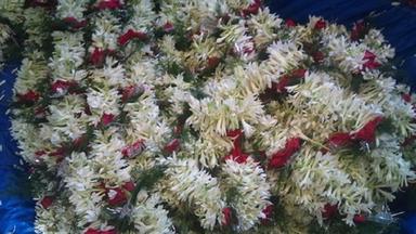 Rajanigandha Garland, Fresh Flower, 100% Fresh And Natural, White Color, Trusted Quality