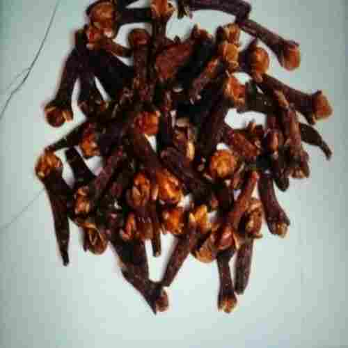 Good Quality Healthy Dried Brown Natural Dry Clove Pods