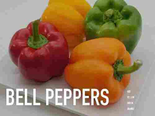 Natural Fresh Bell Pepper for Cooking