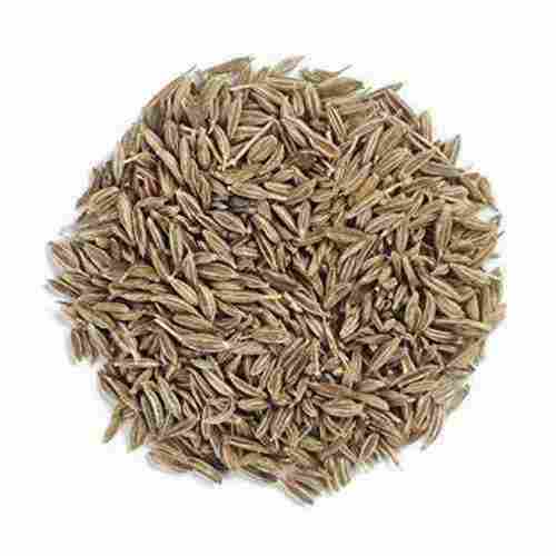 Dried Organic Cumin Seeds