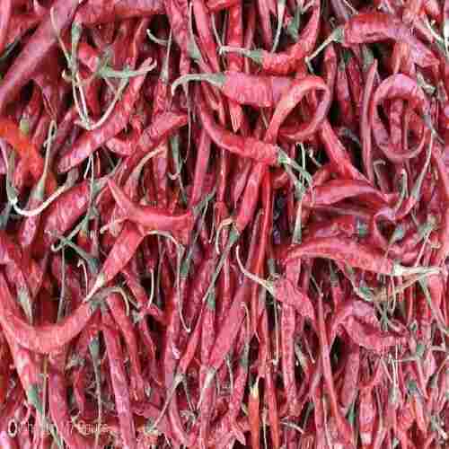 Hygienic Packing Rich In Taste Spicy Organic Dried Red Chillies