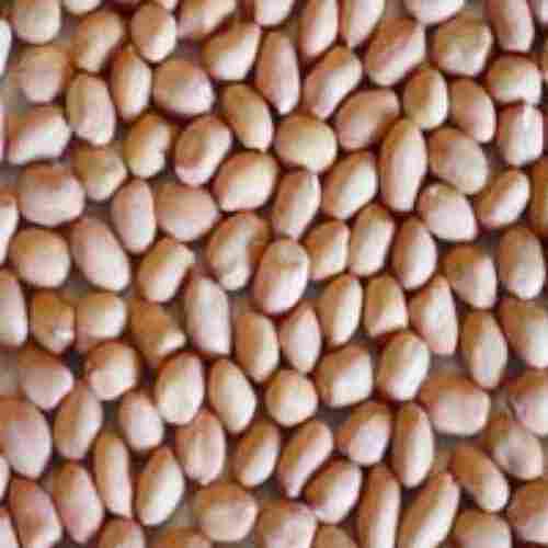 Dried Brown Groundnut Seeds