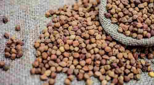 Dried Desi Chana For Cooking, High Quality, Pure Healthy, Easy To Cook, Brown Color