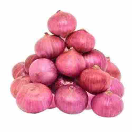 Hygienic No Added Color Natural Taste Healthy Fresh Red Onion