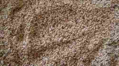 Natural Brown Sesame Seeds for Food