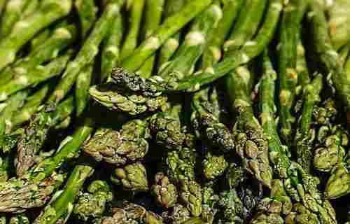 Natural Fresh Green Asparagus for Cooking