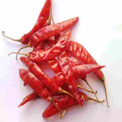Hot Spicy Natural Taste Rich in Color Healthy Organic Dried Red Chilli