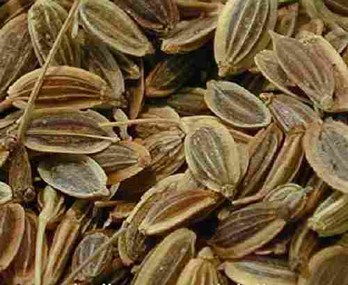 Natural Brown Dill Seeds for Cooking
