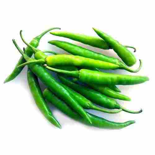 Natural Fresh Green Chilli for Cooking
