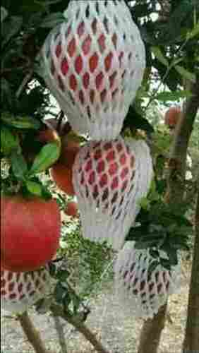 White Pomegranate Foam Net