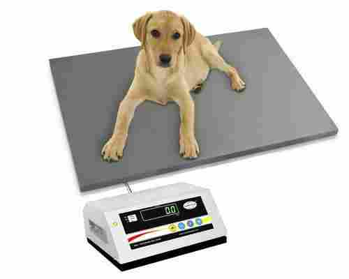 Fine Finish Animal Weighing Scales