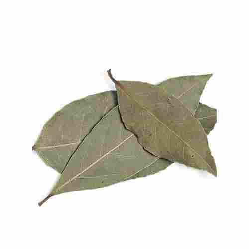Nice Aroma Rich Natural Taste Healthy Organic Dried Bay Leaves
