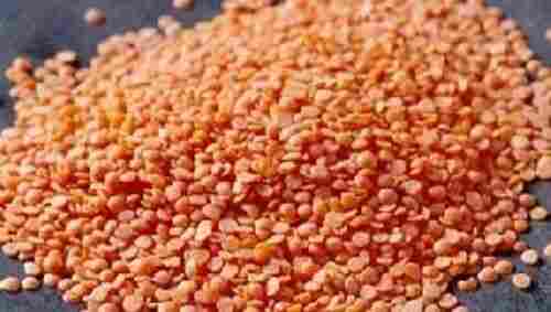 Natural Fresh Red Lentils for Cooking