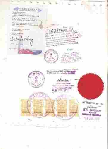 Document Apostille and Translation Services