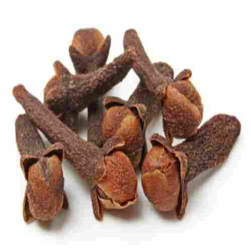 Good Quality Healthy Brown Natural Dry Clove Pods