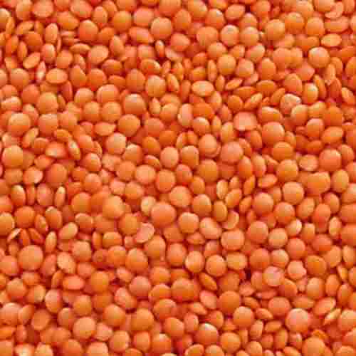 High Protein Easy To Cook Healthy Organic Dried Red Masoor Dal